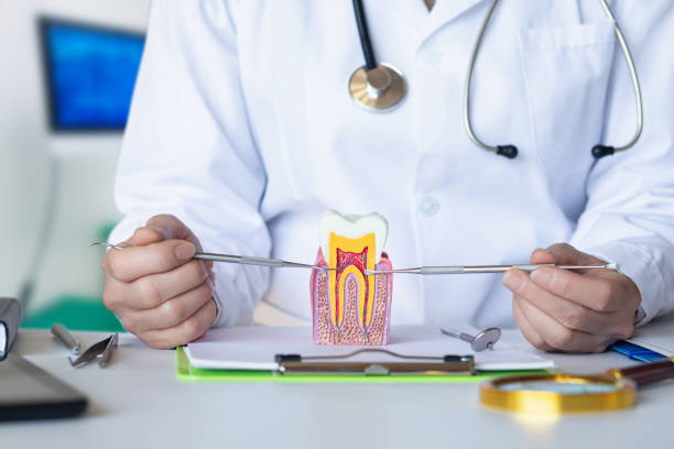 Best Pediatric Emergency Dentist in Van, TX